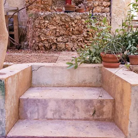 Central - Modern Studio With Stunning Private Maltese Garden & Roof Terrace * グジラ
